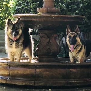 Meet your Posher, Heidi